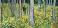 Art 101 Art A4 Photo Print
