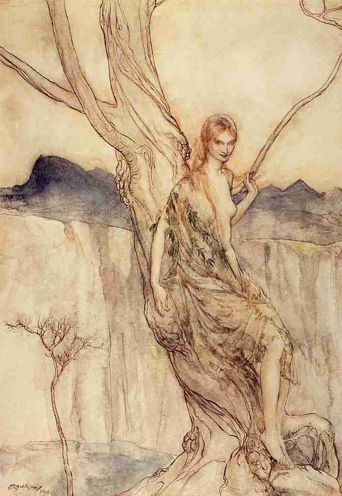 Arthur Rackhams 12 Dryad A4 Photo Print