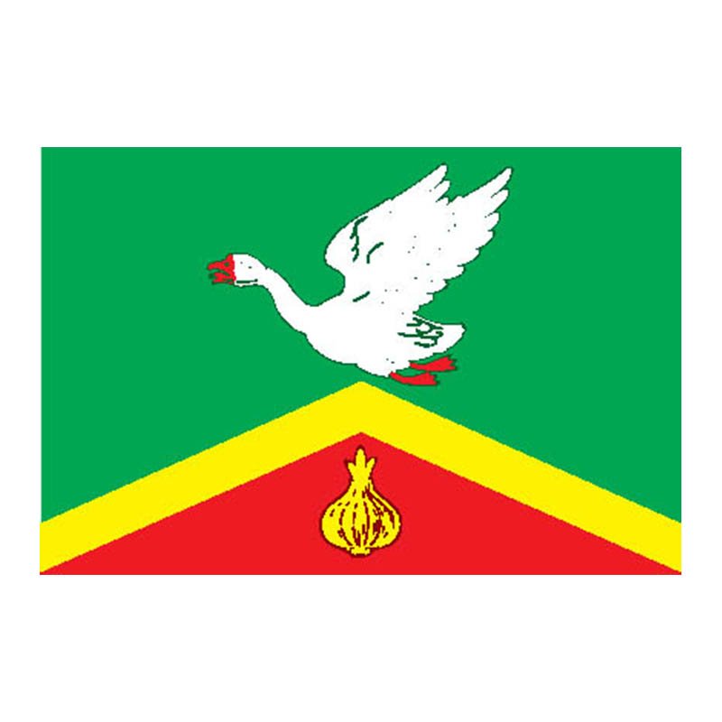 Arzamas Rayon Flag N6839 A4 Photo Print