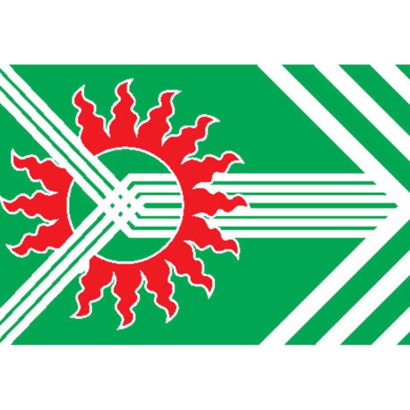 Asbest City Flag N3775 A4 Photo Print