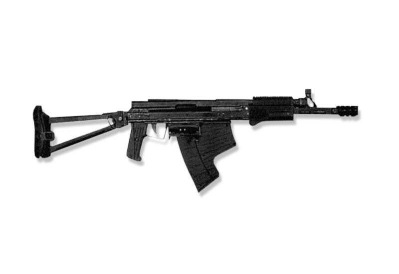 Asm Dt Amphibious Assault Rifle Military A4 Photo Print