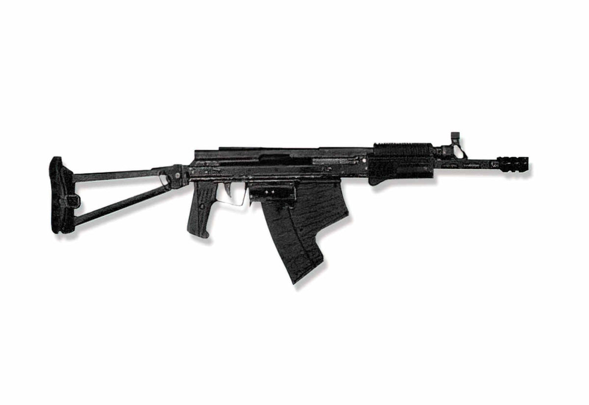Asm Dt Amphibious Assault Rifle (2) Military A4 Photo Print