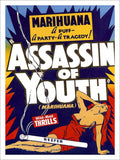 Assassin Of Youth Movie Poster Vintage Retro Advert Poster A4 Photo Print