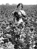 Astor Mary 6 film star poster A4 Photo Print