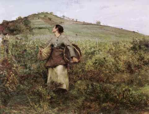 At Harvest Time A4 Photo Print