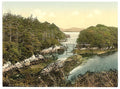 At Parknasilla County Kerry Vintage A4 Photo Print