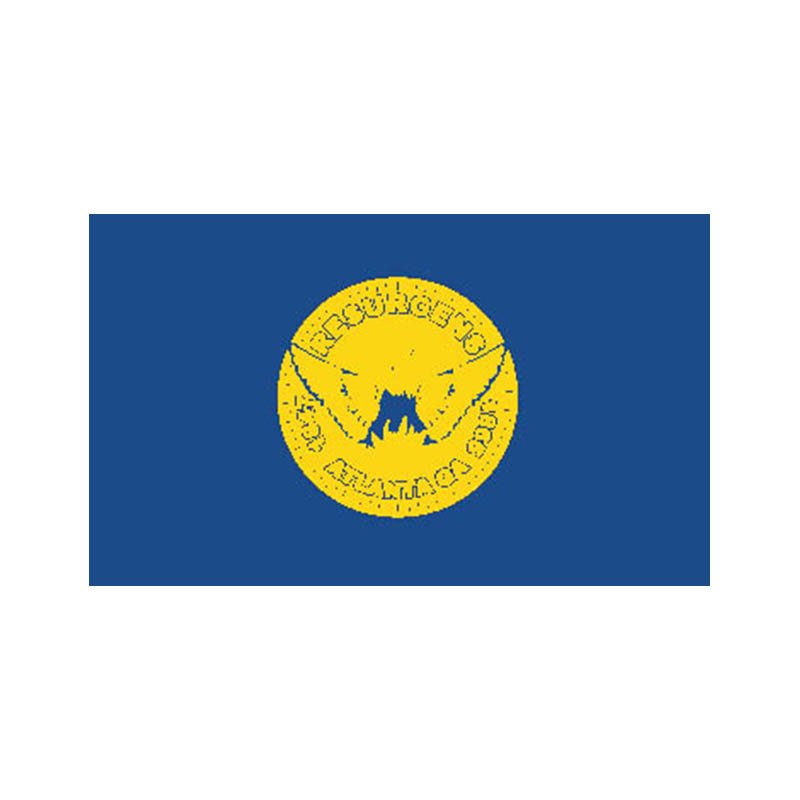 Atlanta City Flag N6167 A4 Photo Print