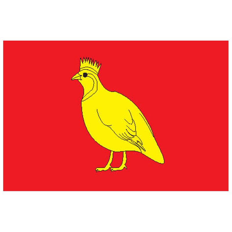 Aunis Prov Flag N3005 A4 Photo Print