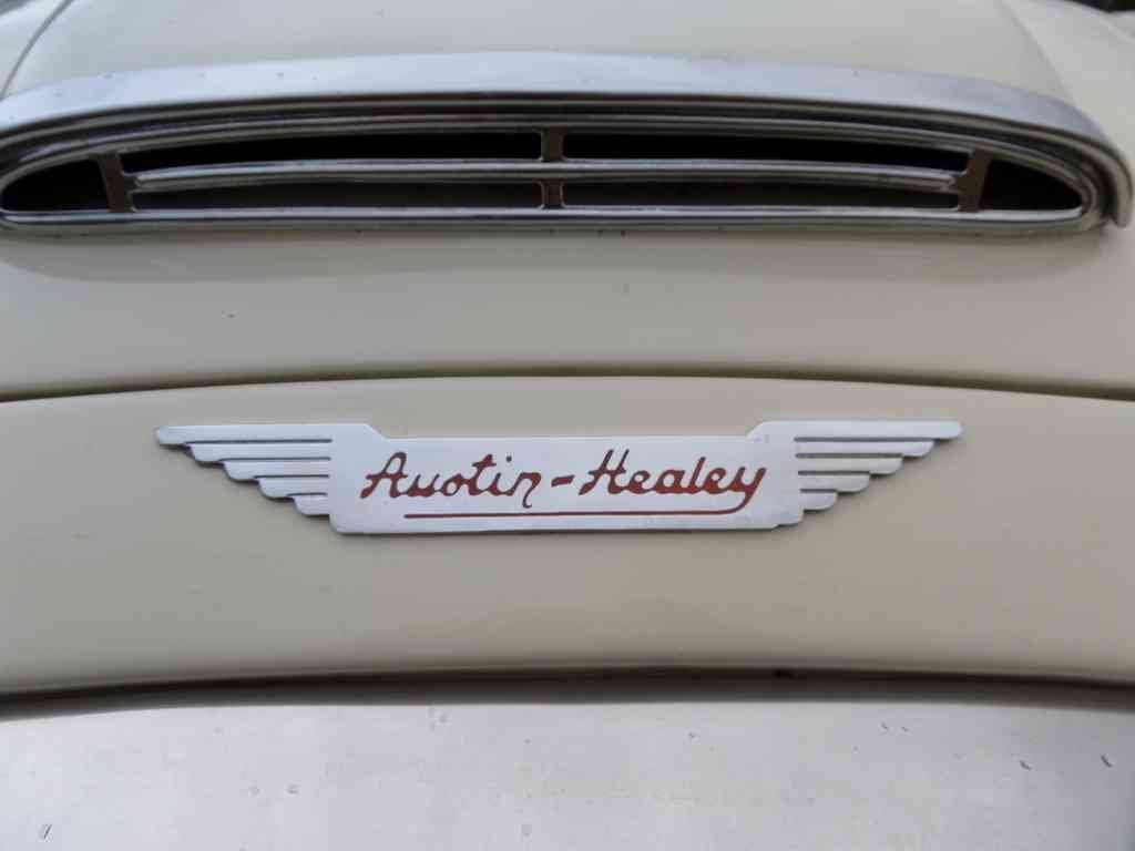 Austin Healey 3000 Boot Bonnet 2555 A4 Photo Print