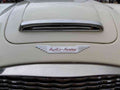 Austin Healey 3000 Boot Bonnet 2556 A4 Photo Print