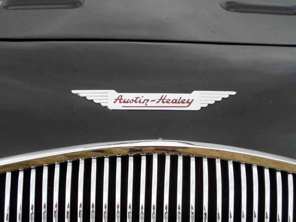 Austin Healey Boot Bonnet 2672 A4 Photo Print