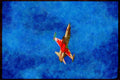 Austria 034063 Canadair CF 5A Freedom Fighter _ Canadian Armed Forces A4 Limited Edition Watercolour Print
