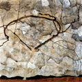 Autumn Tree In The Wind Schiele A4 Photo Print