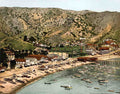 Avalon Santa Catalina Island 1901 Vintage A4 Photo Print