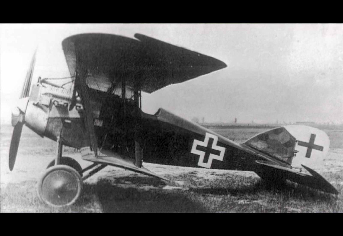 Aviatik Dvi Biplane Fighter Prototype German Empire (2) Military A4 Photo Print