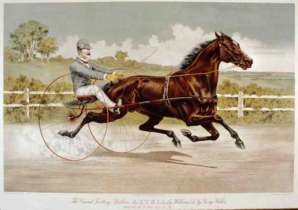Axtell Horse 001 Vintage A4 Photo Print