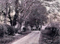 Ayrshire Cumnock Dumbroken Road Vintage A4 Photo Print