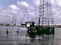 B106831980s 1990s A4 Photo Print