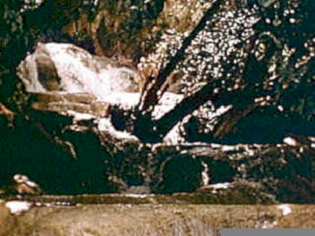 B107671980s 1990s A4 Photo Print