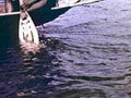 B107981980s 1990s A4 Photo Print