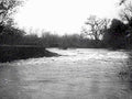 B193601980s 1990s A4 Photo Print