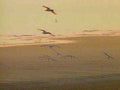 B360081980s 1990s A4 Photo Print