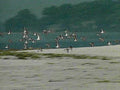 B360111980s 1990s A4 Photo Print