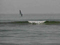 B360281980s 1990s A4 Photo Print