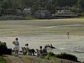 B360551980s 1990s A4 Photo Print