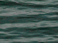 B360671980s 1990s A4 Photo Print