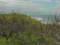 B361221980s 1990s A4 Photo Print