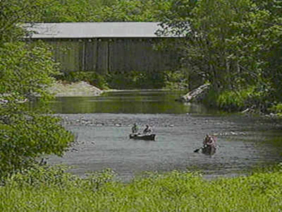 B362331980s 1990s A4 Photo Print