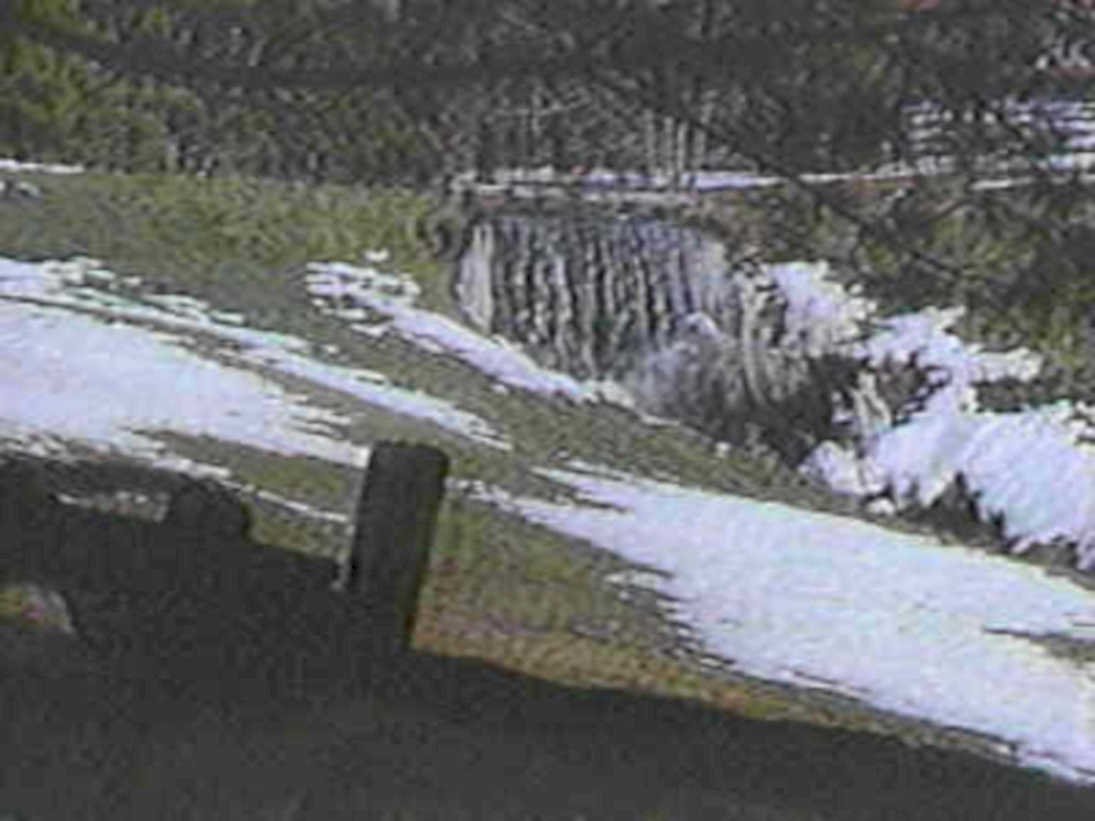 B362931980s 1990s A4 Photo Print