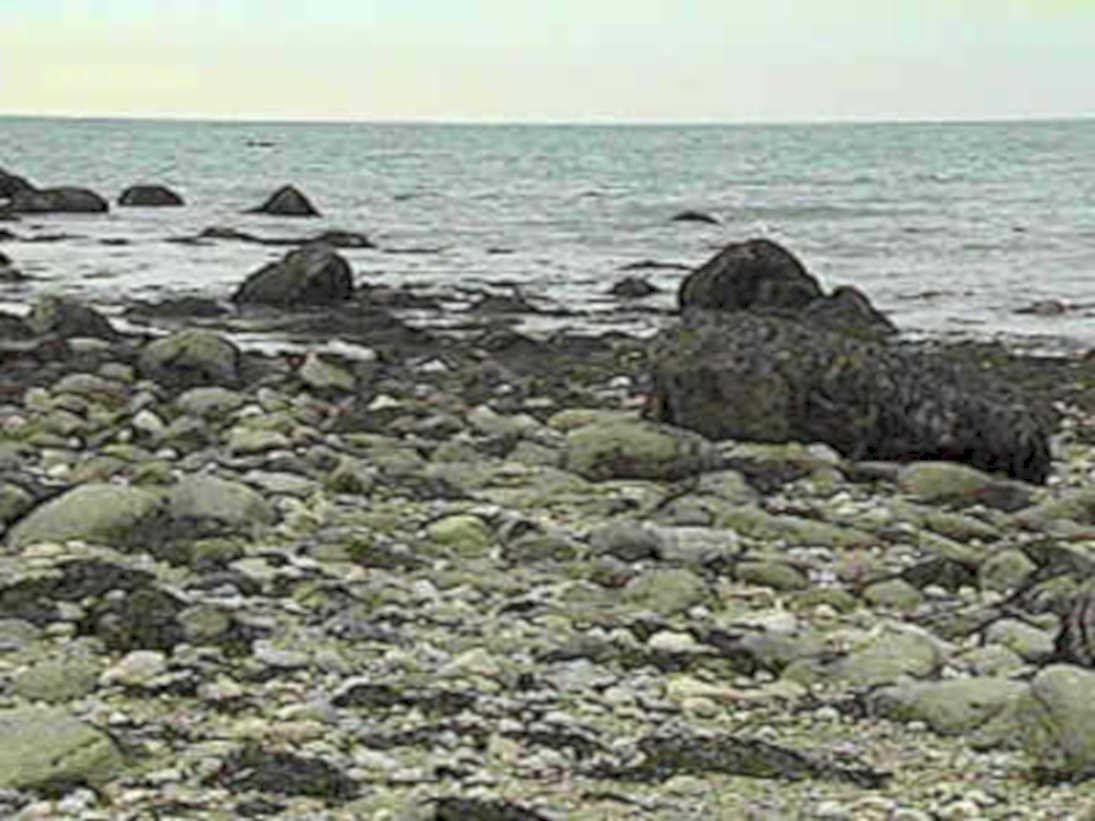 B363141980s 1990s A4 Photo Print