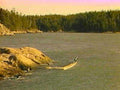 B363311980s 1990s A4 Photo Print