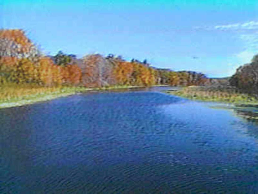 B363551980s 1990s A4 Photo Print