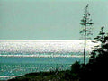 B364071980s 1990s A4 Photo Print