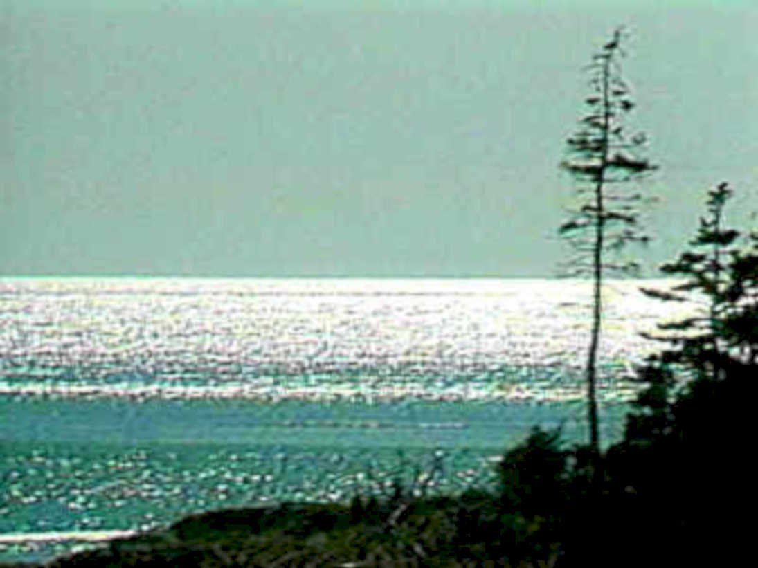 B364071980s 1990s A4 Photo Print