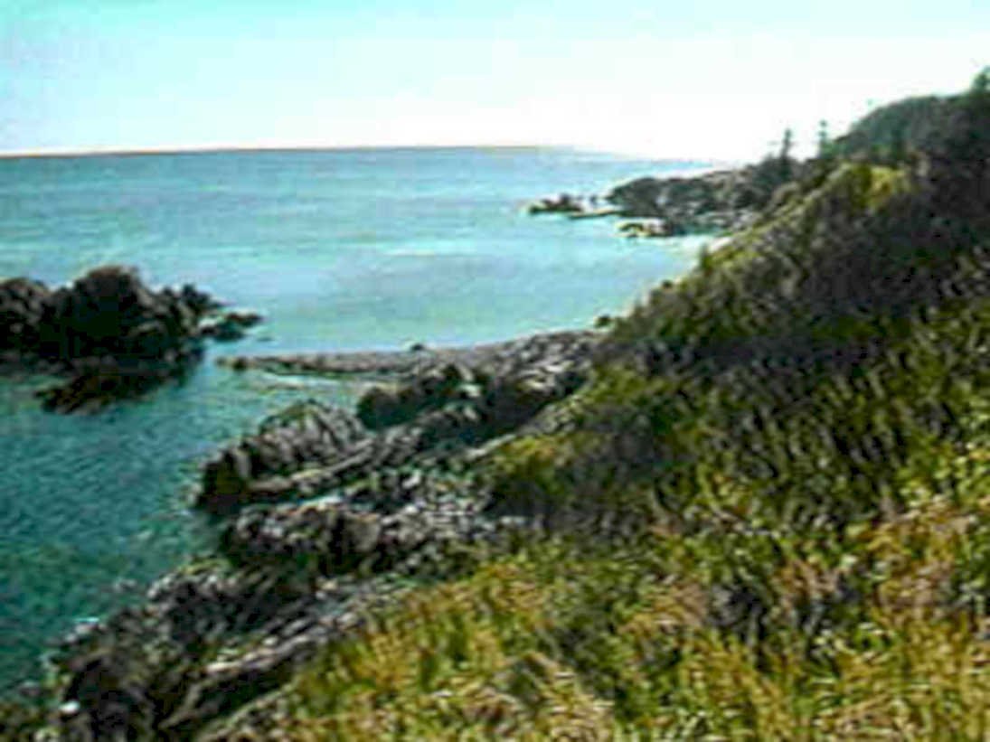 B364081980s 1990s A4 Photo Print
