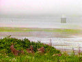 B364131980s 1990s A4 Photo Print