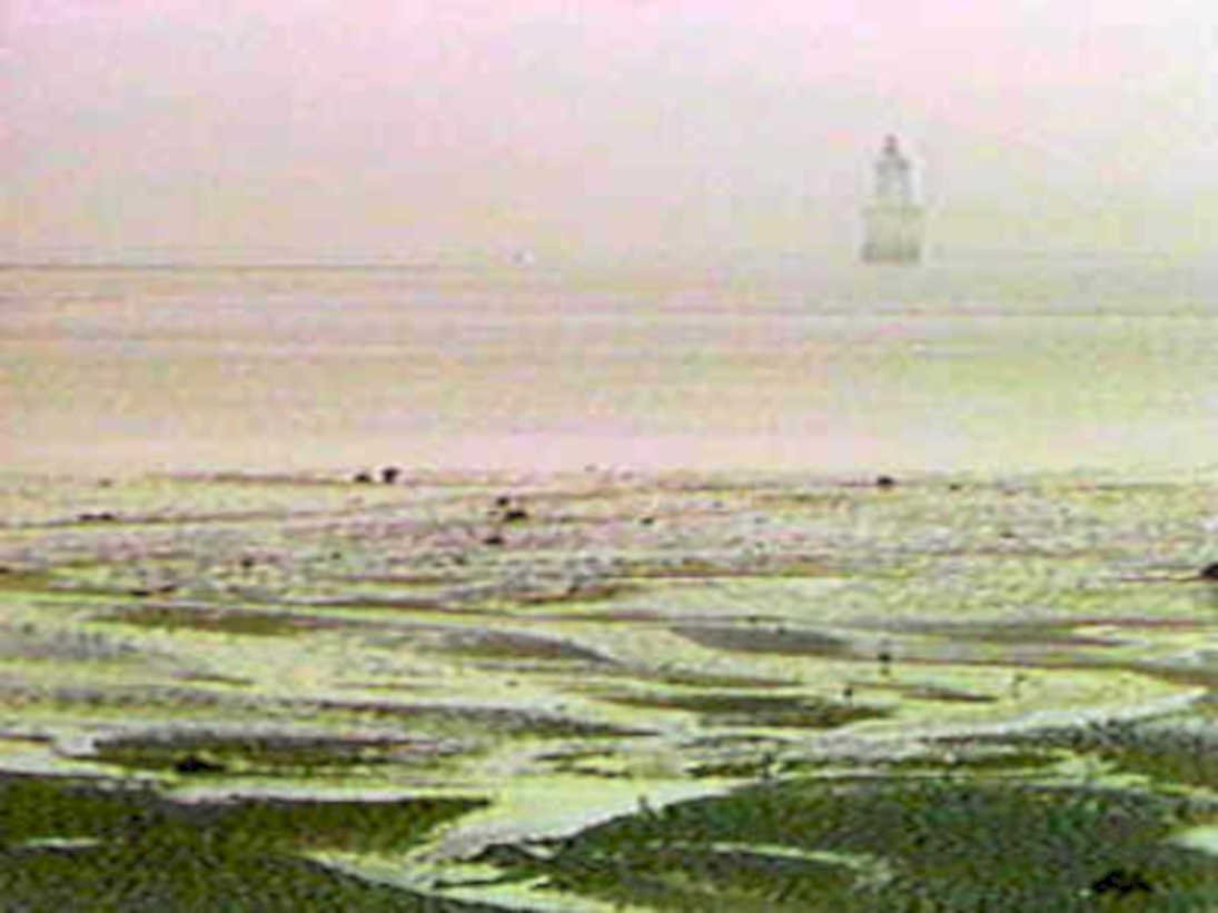 B364151980s 1990s A4 Photo Print