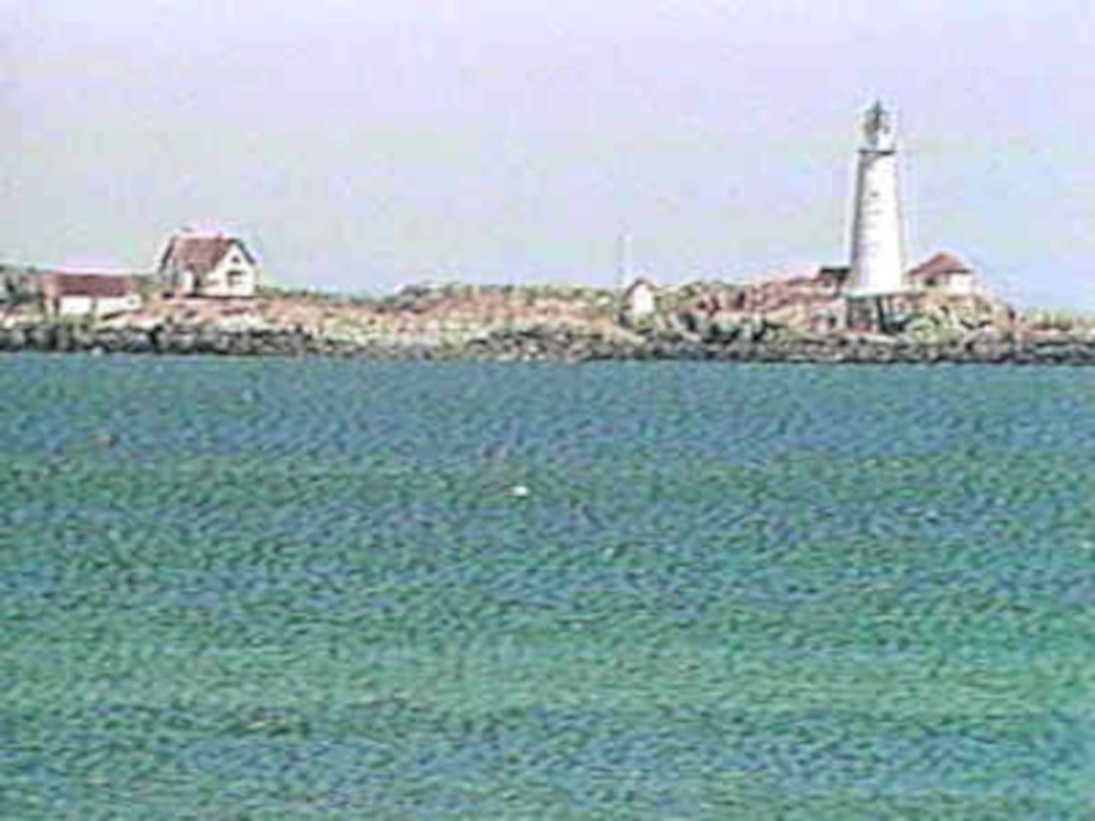 B364191980s 1990s A4 Photo Print