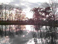 B365141980s 1990s A4 Photo Print