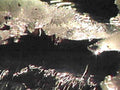 B367141980s 1990s A4 Photo Print