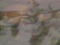 B369091980s 1990s A4 Photo Print