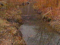 B369121980s 1990s A4 Photo Print