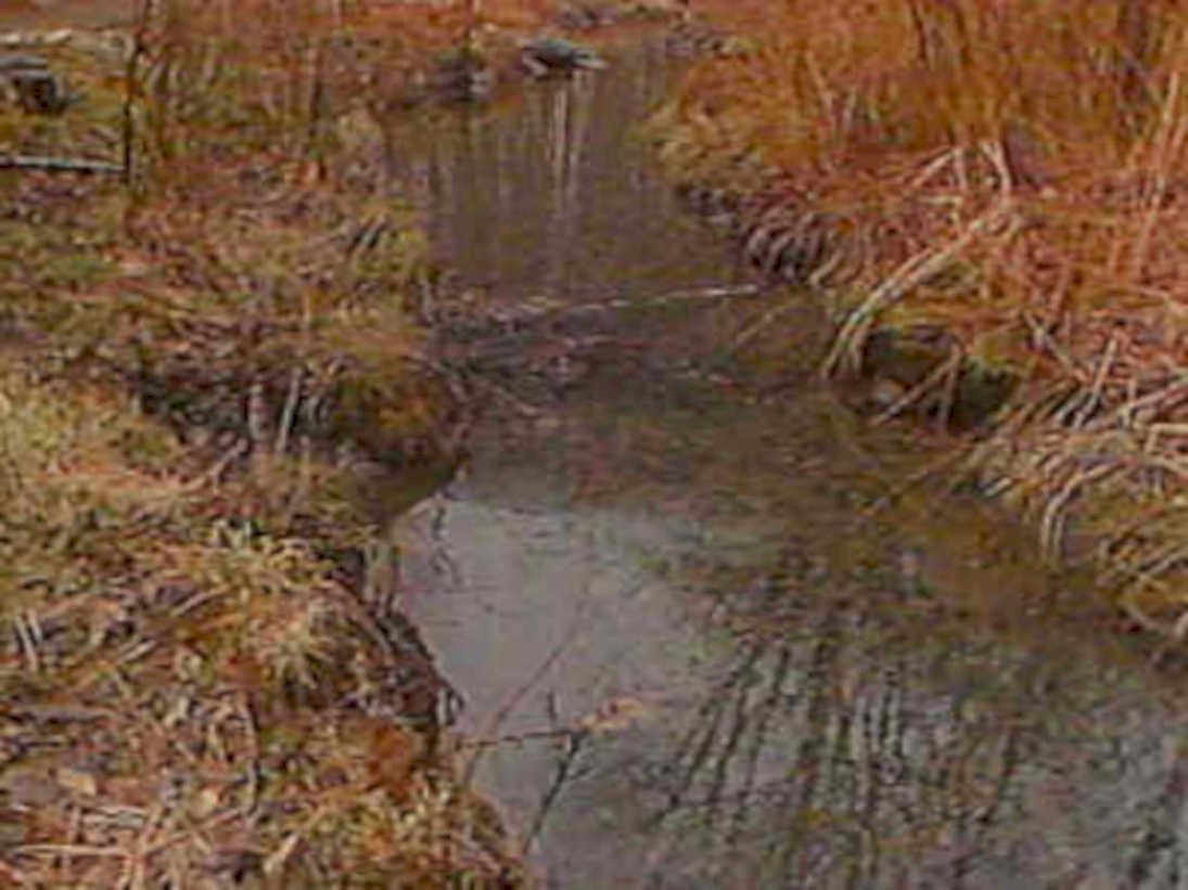 B369121980s 1990s A4 Photo Print