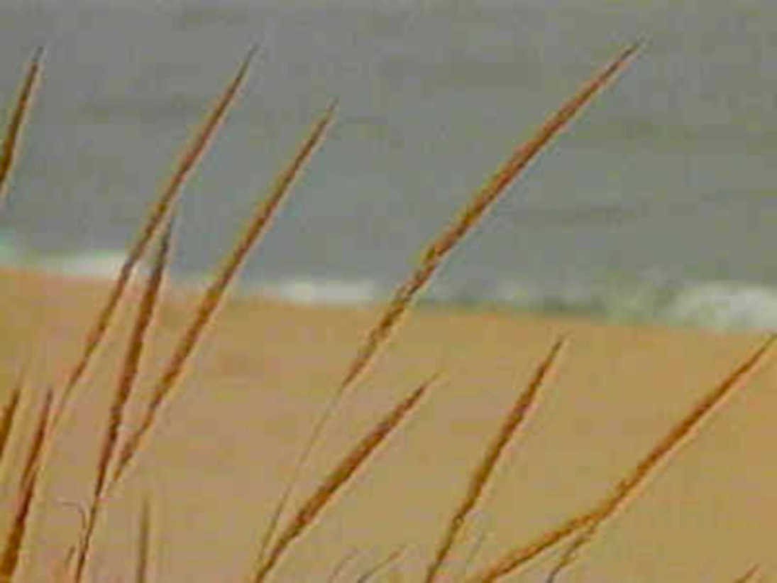 B369421980s 1990s A4 Photo Print