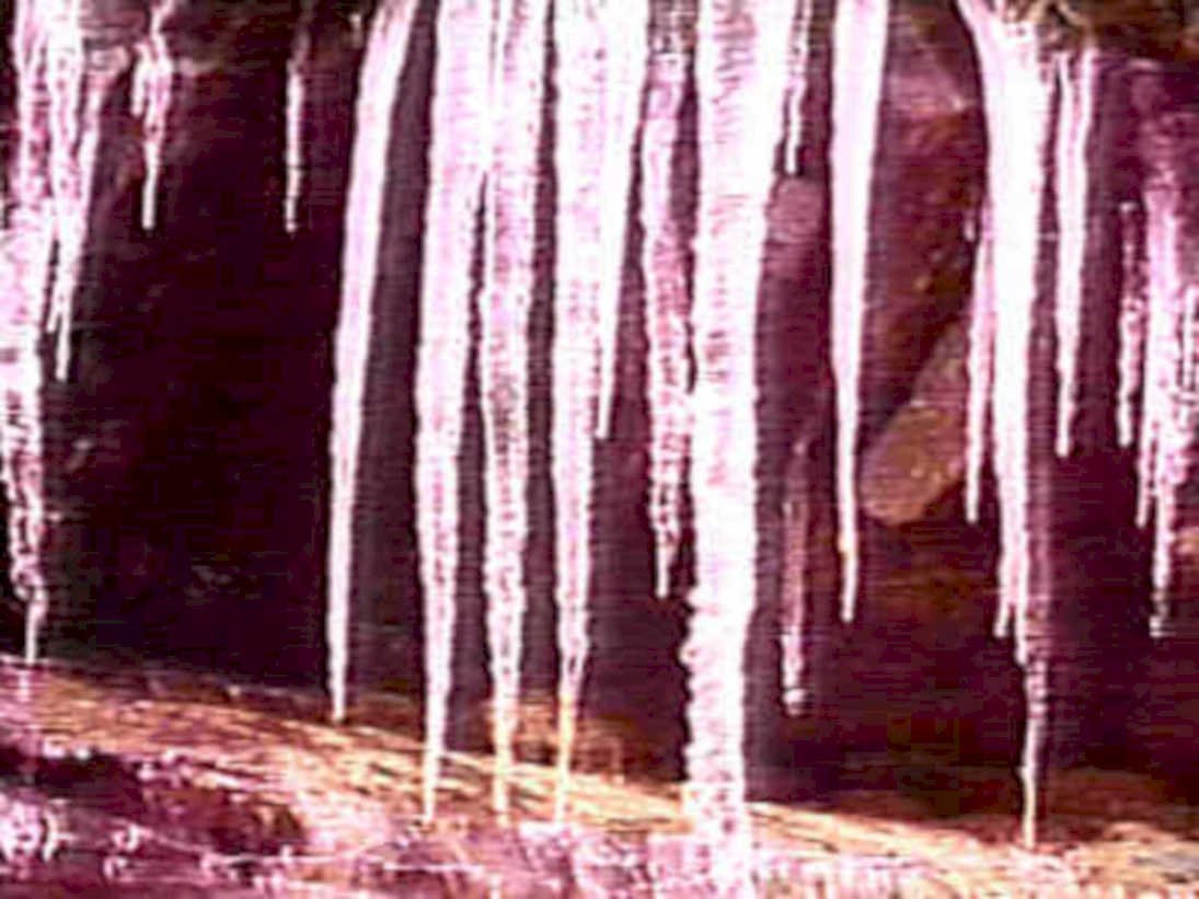 B402891980s 1990s A4 Photo Print