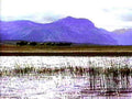 B402971980s 1990s A4 Photo Print